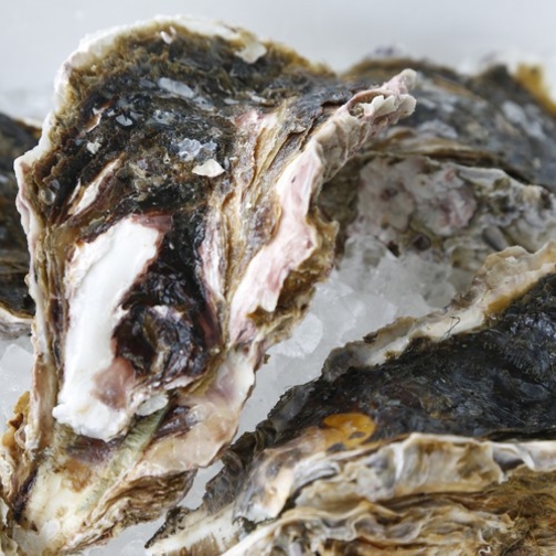 【夏】丹後の夏の味覚”岩牡蠣”使用！グレードアップしたピオネスタイル料理を味わう